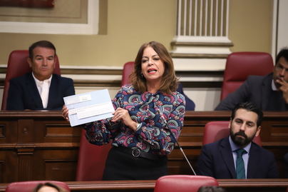 El PSOE acusa a Domínguez de “engañar” a las personas autónomas de Canarias
