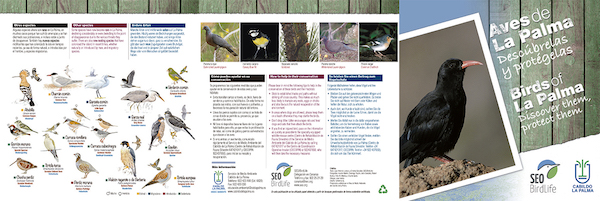 El Cabildo de La Palma y SEO/BirdLife ponen en marcha una campaña para la divulgación y protección de las aves de isla