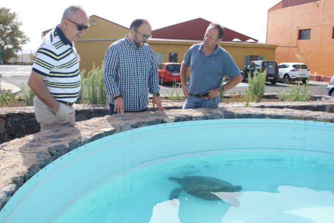 El Cabildo atiende a más de 900 animales en La Tahonilla durante el primer semestre del año