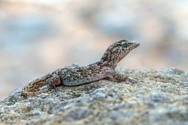Jornadas para dar a conocer más de 200 proyectos sobre biodiversidad