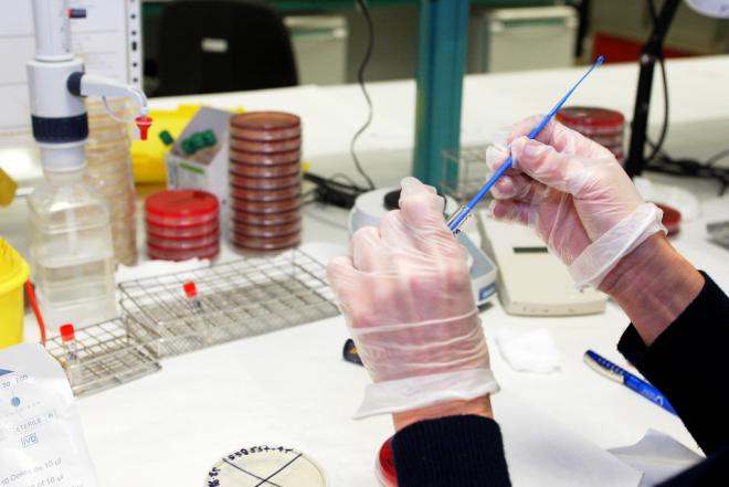 Sanidad notifica 378 casos de COVID-19 en las últimas 24 horas