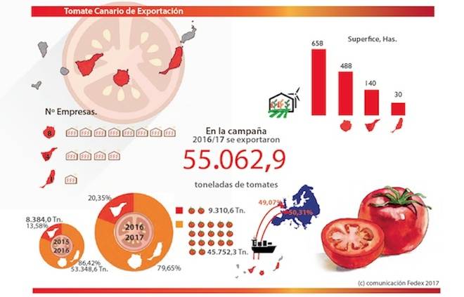 El tomate canario uno de los suministradores más seguros en los meses de invierno