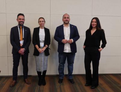 El Gobierno de Canarias y Dinamarca comparten experiencias sobre energía eólica marina