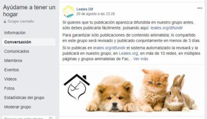 Récord de animales abandonados en Canarias