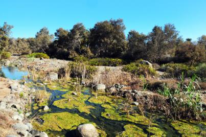 El Aula Educativa del Parque Tony Gallardo recibe el reconocimiento nacional de ADEAC como `Centro Azul´