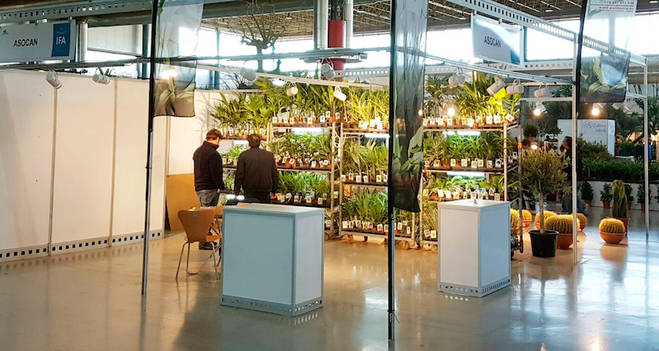 El sector de flores y plantas acude a Viveralia para consolidar el mercado europeo