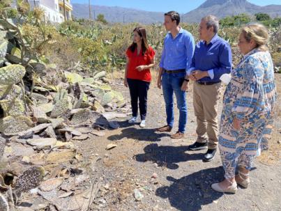 El PP plantea en el Cabildo la “urgencia” de acabar con la plaga de cochinilla mexicana