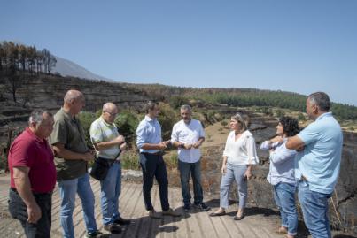 El fuego daña 40 hectáreas de zonas agrícolas en medianías, principalmente con cultivos de cereales y frutales