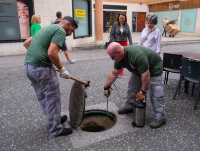 El Ayuntamiento refuerza el control de plagas con un nuevo producto