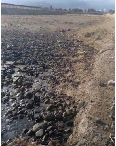 Vicente Mena exige una solución a los vertidos en la desembocadura del canal de Arinaga