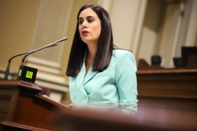 "El Pacto de las Flores vota para esconder a los canarios la estafa del caso de las mascarillas"