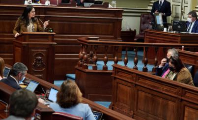 Vidina Espino defiende su legitimidad para defender los derechos de los canarios