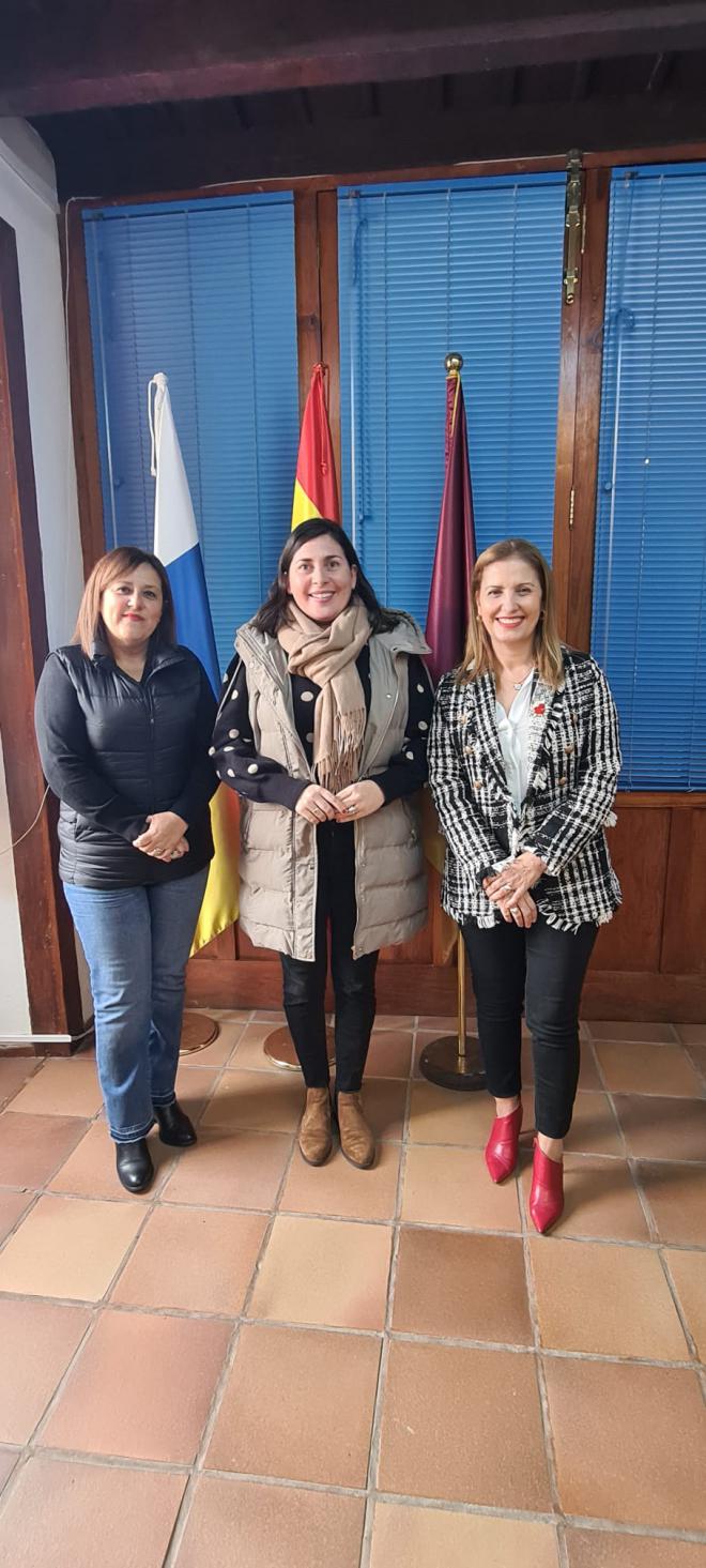 Villa de Mazo participa en el estudio que mide el impacto de la reciente erupción volcánica en la salud de la población
