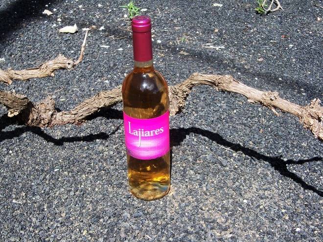 Haría acoge la primera cata de vino elaborado con la variedad de uva Europea