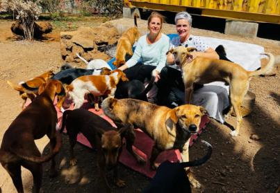 Fundación DinoSol ha donado en lo que va de año 9.000 kg de comida para las protectoras de animales