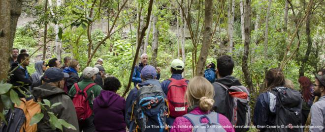 Jornadas Forestales de Gran Canaria