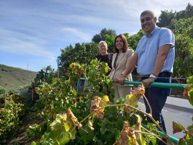 La bodega Señorío de Cabrera incluye tres de sus vinos entre los mejores de España