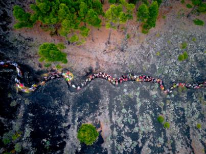 Peter Engdahl y Abby Hall, ganadores de la Ultra de Transvulcania by UTMB®