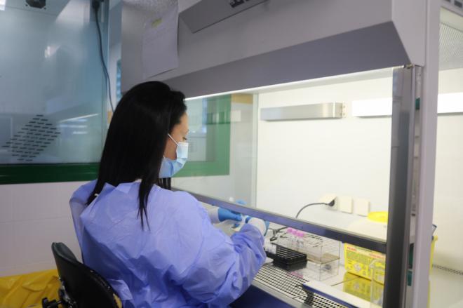Sanidad constata tres casos confirmados y nueve en estudio de viruela del mono