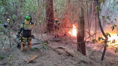 La dirección del Plan INFOCA autoriza la vuelta de las personas evacuadas a sus viviendas