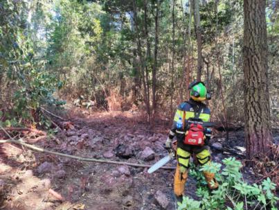 Actualización de la situación del incendio forestal de Tenerife