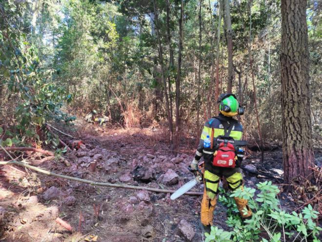 Actualización de la situación del incendio forestal de Tenerife