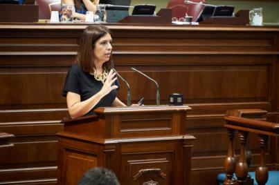 NC logra incluir destacadas enmiendas de mejora al Proyecto de Ley de Economía Social de Canarias