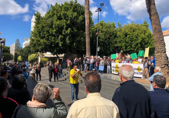 'Precio Justo del Plátano` convoca para el 16 de septiembre una manifestación