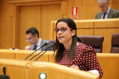 Castilla pregunta al nuevo Gobierno por los estudios previos para la declaración de la Reserva Marina de La Gomera