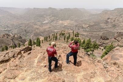 El Cabildo de Gran Canaria declara la alerta por incendios forestales