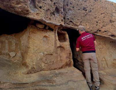 La Caleta, clave para la nidificación de aves marinas