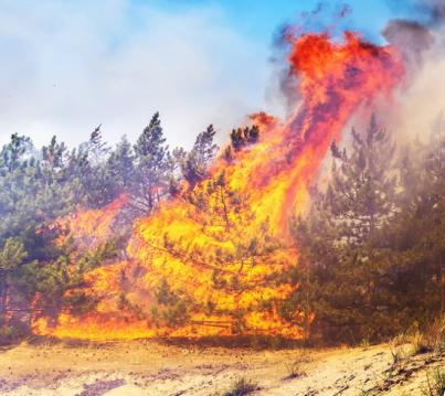 Situación de alerta por riesgo de incendios forestales
