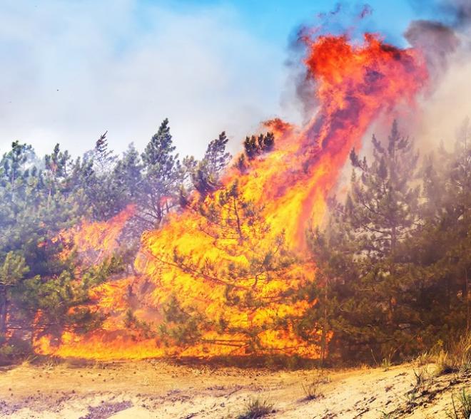 Situación de alerta por riesgo de incendios forestales