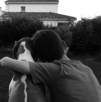 Expertos en violencia piden que la reforma del Código Penal considere las consecuencias del maltrato animal para los humanos