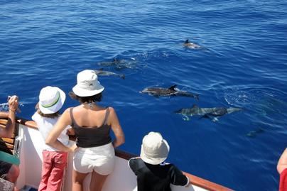La Gomera cierra una temporada de invierno histórica con más gasto