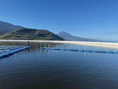 Las balsas de Tenerife alcanzan el 71% de su capacidad