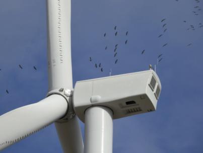 Científicos en contra de la aprobacion del Reglamento europeo para acelerar el despliegue de energia renovable