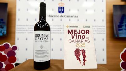 Brumas de Ayosa Tinto, Mejor Vino de Canarias 2025