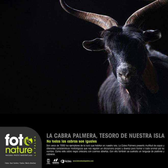 Exposición fotográfica celebra 10 años del Catálogo de Cabra Palmera