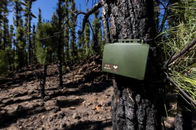 Crean 108 refugios para murciélagos en la Corona Forestal