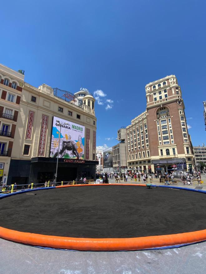 Gran Luchada oficial y la VIII Romería Canaria en Madrid