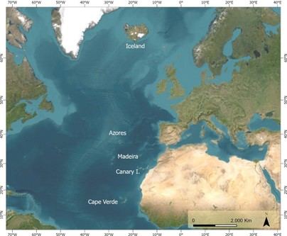 Canarias se consolida como centro migratorio en el Atlántico Norte