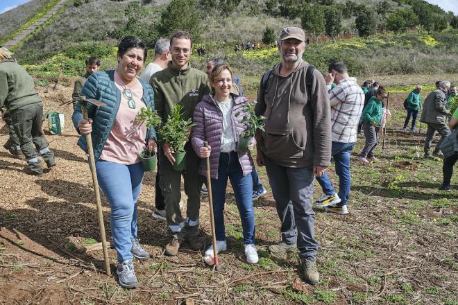 Céntimo verde: hasta 0.02 euros por litro de combustible