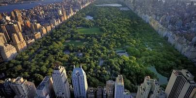 Nueva York se prepara para crear fosas comunes en parques públicos