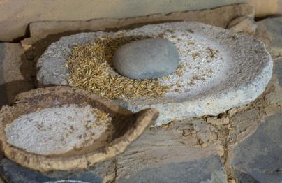 Iniciativa en defensa de los molinos de gofio tradicionales