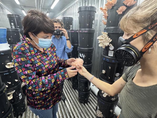 Coffee Fungi, innovador proyecto de cultivo de setas con residuos de café