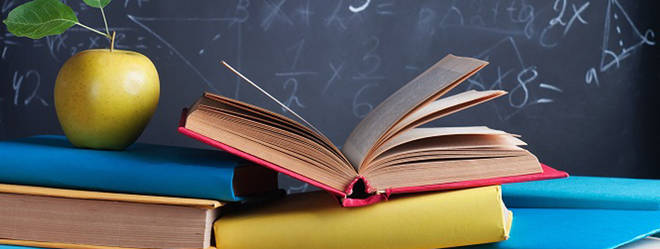 ANPE exige un pacto para convertir la Educación en una prioridad