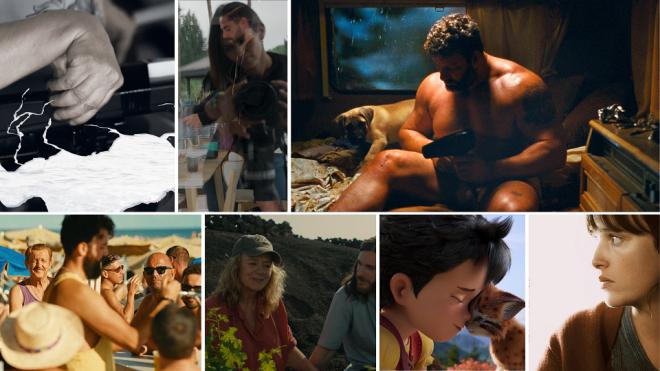Canarias en el Festival de Cine de San Sebastián