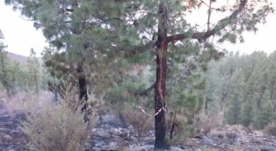 Controlados los dos conatos en la zona de Tágara, en el sur de la Isla