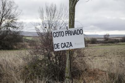 PACMA solicita suspender la caza los domingos, festivos y vacaciones de Navidad